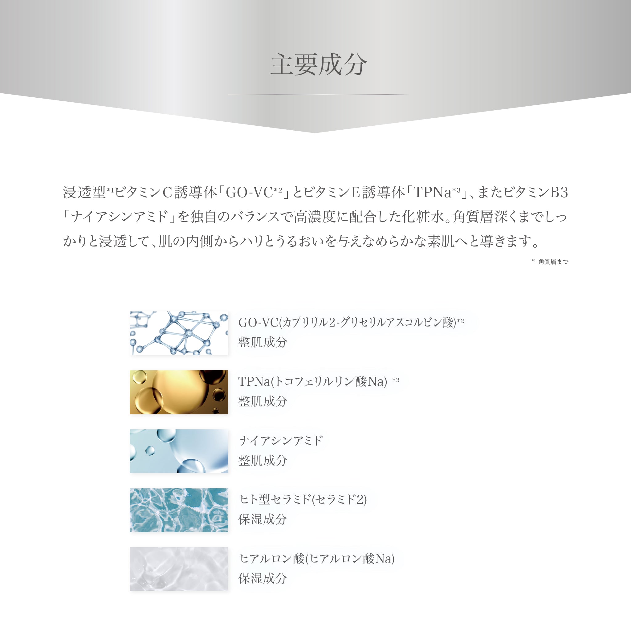 W E L L 8 アクティベーティングVCローション 100ml – WELL8