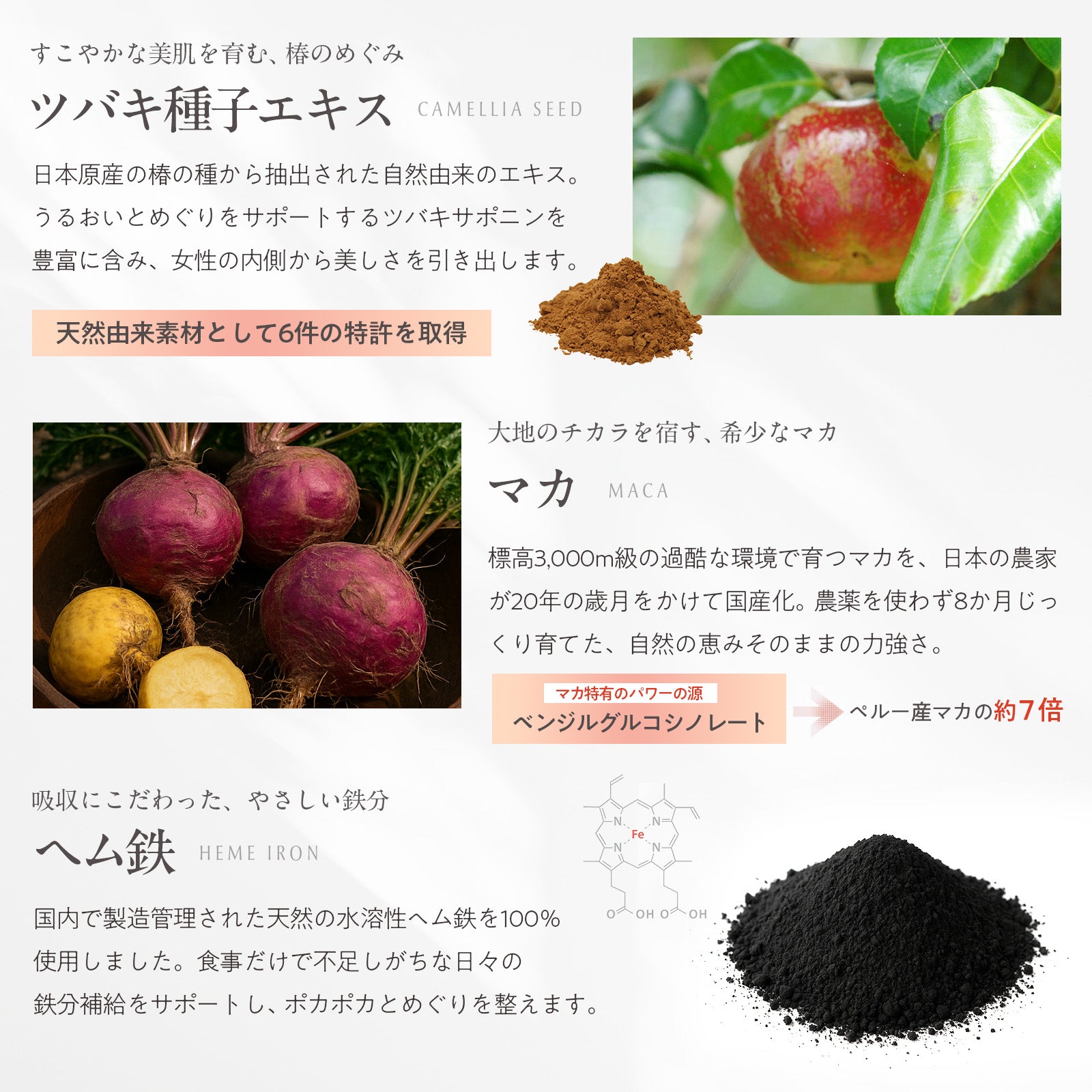 大和当帰サプリメント 60カプセル入り